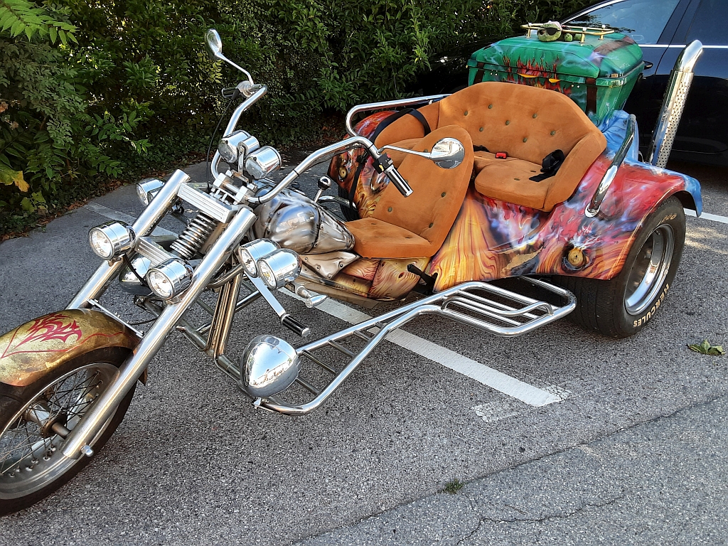 Trikesitze in Wildleder